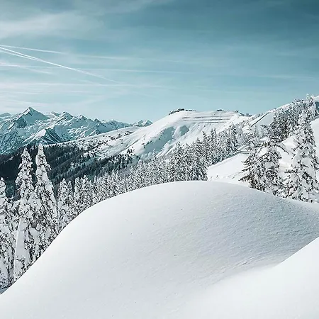 Haus Altenberger By We Rent Lejlighed Zell am See